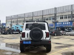 Tank 300 Off-Road Edition 2.0T Conqueror - ფოტო 5