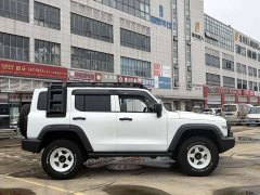 Tank 300 Off-Road Edition 2.0T Conqueror - ფოტო 7