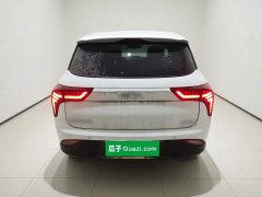 Neta V Long-Range Entertainment Edition Plus - ფოტო 3