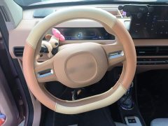Geely Panda Mini 200km Endurance Edition - ფოტო 13
