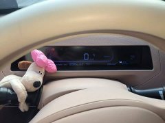 Geely Panda Mini 200km Endurance Edition - ფოტო 14