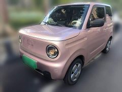 Geely Panda Mini 200km Endurance Edition - ფოტო 2