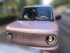 Geely Panda Mini 200km Endurance Edition - ფოტო 3