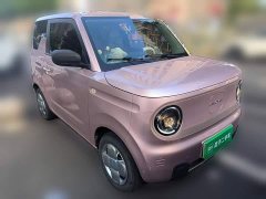 Geely Panda Mini 200km Endurance Edition - ფოტო 4