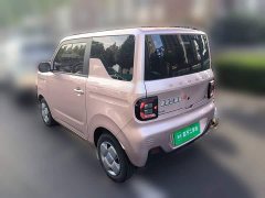 Geely Panda Mini 200km Endurance Edition - ფოტო 6