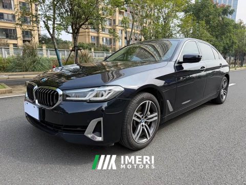2021 BMW 5 Series 530Li Leading Edition Luxury Package - ავტომობილი ჩინეთიდან