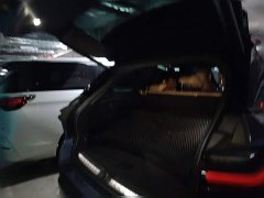 NIO ES6 430KM Performance Edition - photo 15