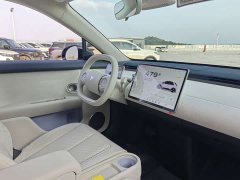Nio Firefly Luminous Edition - ფოტო 11