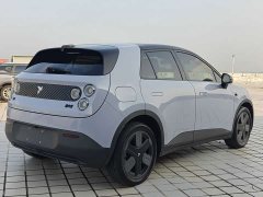 Nio Firefly Luminous Edition - ფოტო 18