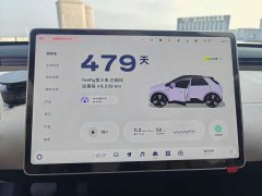 Nio Firefly Luminous Edition - ფოტო 5
