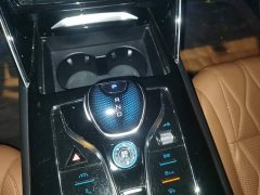 BYD Yuan Plus DM-i Champion Edition 112KM Honor Trim - photo 15