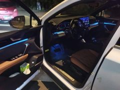 BYD Yuan Plus DM-i Champion Edition 112KM Honor Trim - photo 17