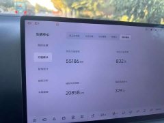 Li Auto L7 MAX - ფოტო 9
