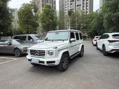 Mercedes-Benz G-Class G 350 - ფოტო 1