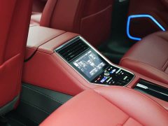 Porsche Panamera 2.9T - ფოტო 10