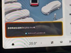 XPeng P7 702 Max - ფოტო 7