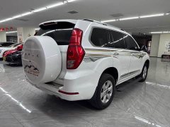 Haval H9 2.0T Gasoline AWD Luxury 7-Seater - photo 4