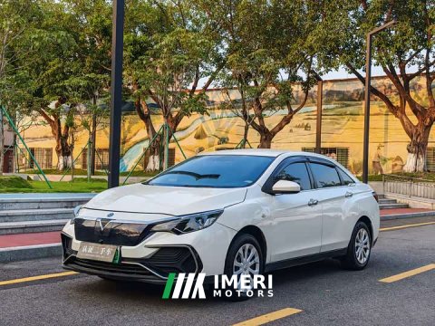 2023 Nissan Venucia D60EV Standard Range Comfort Edition - car from China