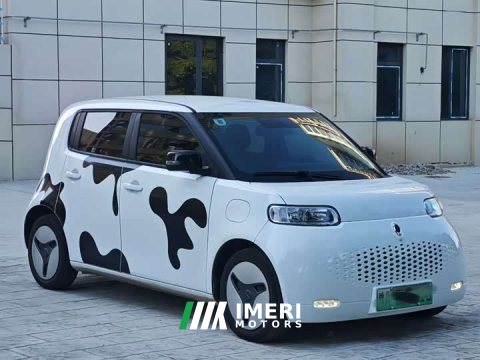 2021 ORA White Cat 401km Long Range - ავტომობილი ჩინეთიდან