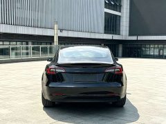 Tesla Model 3 Rear-Wheel Drive - ფოტო 10