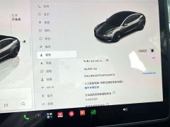 Tesla Model 3 Rear-Wheel Drive - ფოტო 8