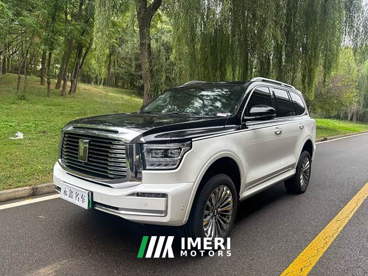 Tank 500 New Energy Hi4-T - car from China