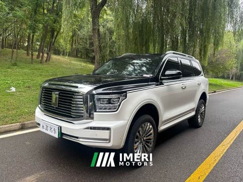 2024 Tank 500 New Energy Hi4-T - car from China