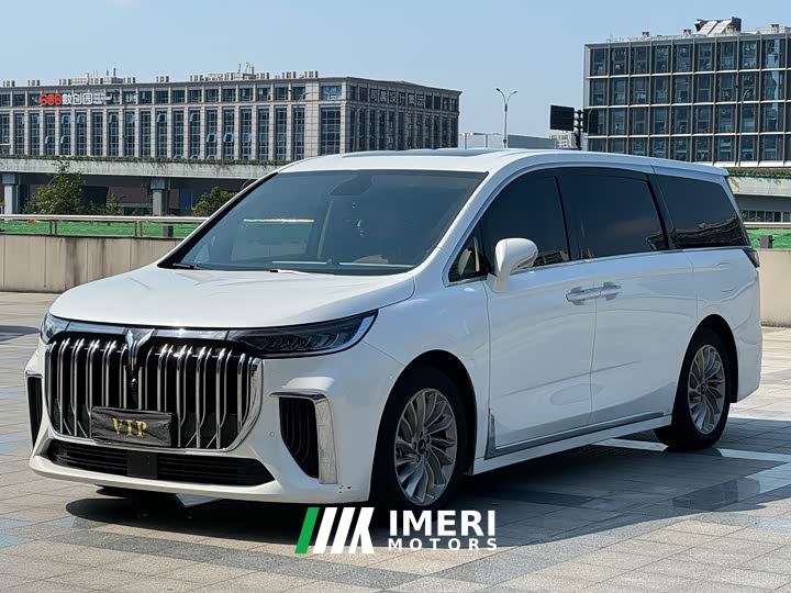 Voyah Lantu Dreamchaser Low Carbon Edition Family