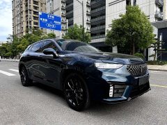 Great Wall WEY VV7 2.0T Tech Edition - ფოტო 1