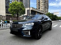 Great Wall WEY VV7 2.0T Tech Edition - ფოტო 3