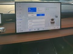Geely Galaxy Xingyao 8 60km EM-i Luxury - photo 11