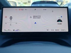 Great Wall WEY Shanshan New Energy Four-Wheel Drive Shanshan 8 - ფოტო 14