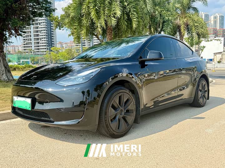 Tesla Model Y Rear-Wheel Drive