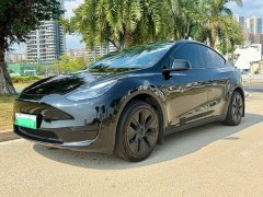 Tesla Model Y Rear-Wheel Drive - ფოტო 1
