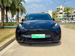 Tesla Model Y Rear-Wheel Drive - ფოტო 2