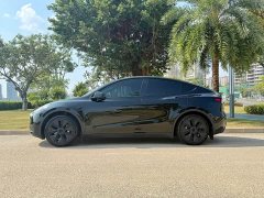 Tesla Model Y Rear-Wheel Drive - ფოტო 3