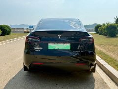 Tesla Model Y Rear-Wheel Drive - ფოტო 5