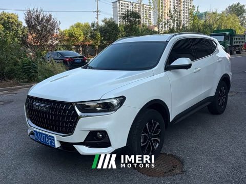 2023 Haval H6 National Trend Edition 1.5T Automatic Urban Version - ავტომობილი ჩინეთიდან