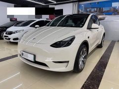 Tesla Model Y Long Range All-Wheel Drive - ფოტო 1