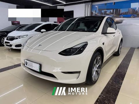 2022 Tesla Model Y Long Range All-Wheel Drive - автомобиль из Китая