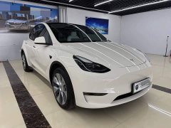 Tesla Model Y Long Range All-Wheel Drive - ფოტო 3