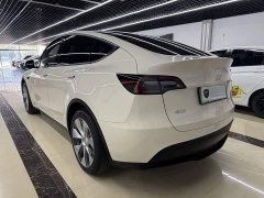 Tesla Model Y Long Range All-Wheel Drive - ფოტო 7