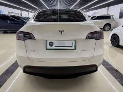 Tesla Model Y Long Range All-Wheel Drive - ფოტო 8