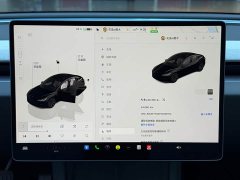 Tesla Model 3 Rear-Wheel Drive - photo 10