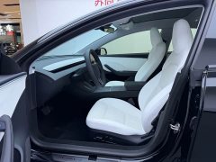 Tesla Model 3 Rear-Wheel Drive - photo 6