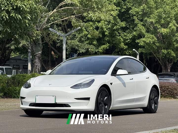 Tesla Model 3 Rear-Wheel Drive - car from China
