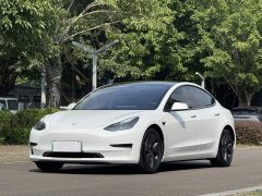 Tesla Model 3 Rear-Wheel Drive - photo 1