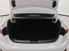 Volkswagen Sagitar 300TSI DSG Excellence Edition - ფოტო 4