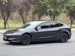 Tesla Model 3 Rear-Wheel Drive - photo 1