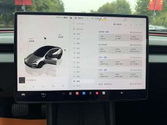 Tesla Model 3 Rear-Wheel Drive - photo 9